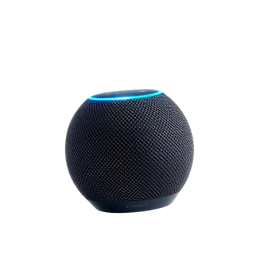 Amazon Echo Dot, Alexa